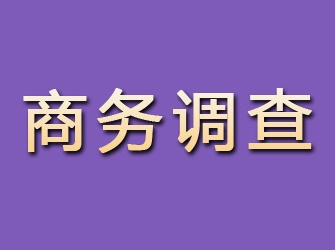 南川商务调查